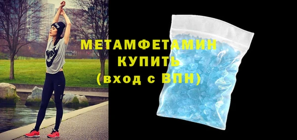индика Снежногорск