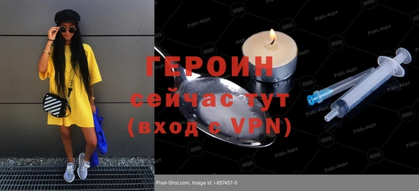 индика Снежногорск