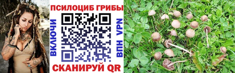 Псилоцибиновые грибы ЛСД  закладка  Ишимбай 